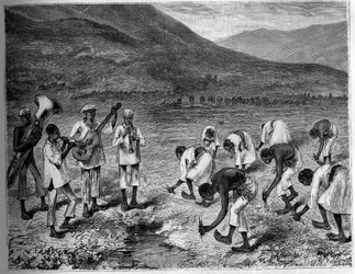 Plantation de riz aux Philippines. Gravure dans « Le Journal de la jeunesse »
