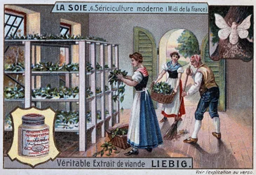 Soie : atelier de soie dans le sud de la France, publicité Liebig, v. 1895