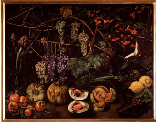 Nature morte avec raisins et courges