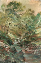 Ruisseau à travers un bois