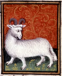 Le Bélier. Miniature d
