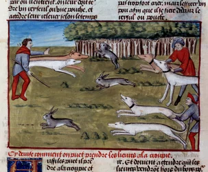 La chasse au lièvre (miniature du « Livre de la chasse » de Gaston III Phoebus)