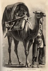 La procession commémorative du martyr de Hossein, après le passage des martyrs et des pénitents, les femmes participent à la procession, à moitié cachées sur des chameaux, guidées par le chef de famille. Gravure pour illustrer le voyage dans les provinces 