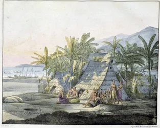 Vue dans les îles Sandwich - dans "Vues et paysages des régions équinoxiales, recueillies lors d