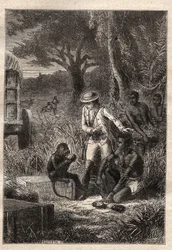 Voyage dans la Cafrerie (Afrique du Sud) (1781) par François Levaillant (Le Vaillant) (1753-1824) : Levaillant et son singe dégustateur Maître Kees, qui goûte les fruits et racines pour vérifier qu