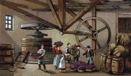 Production de vin : pressoir du hospice de Beaune (clos vougeot)