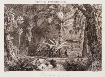 Gravure représentant la colonie française de Guyane en Amérique du Sud 1850