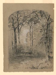 Dessin, étude de la forêt, 1865-70