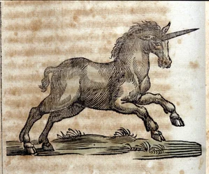 Une licorne, animal mythologique - Gravure d