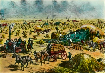 Révolution agricole : récolte du blé au Dakota par des machines à vapeur au XIXe siècle. Gravure du XIXe siècle. Paris, Musée des Arts décoratifs