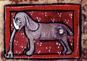 Un éléphant - bestiaire du 14ème siècle. Milan, Biblioteca Trivulziana.