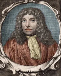 Anthony Van Leeuwenhoek ou Anton van Leeuwenhoek, naturaliste néerlandais (1632-1723). Gravure du 18e siècle