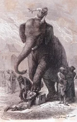 Exécution en Inde : les criminels sont exécutés : leur tête est écrasée par un éléphant conduit par son karnac, gravure 1875