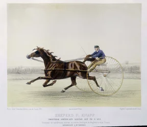 Équitation : Berger F. Knapp, trotteur - dans "le Centaure"