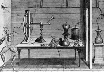 Illustration des expériences de Luigi Galvani, physicien et médecin italien (1737 - 1798) expliquant le passage du courant électrique faisant bouger les pattes d