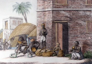 Culture et civilisation indiennes : Charmeurs de serpents en Inde.
