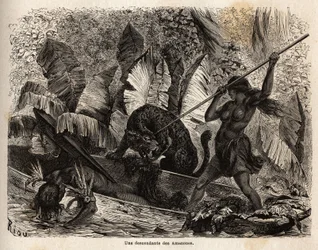 Ticuna indien (Pérou) attaquant avec une lance un tigre qui vient de sauter dans son canoë et a blessé son compagnon, les ticunas de la rivière Nhamondas sont réputés pour leurs femmes guerrières, donc les premiers voyageurs et savants à les observer les o