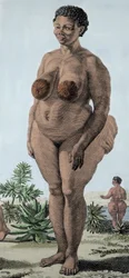 La Vénus Hottentote, femme de race Bochiman; gravure de 1815.