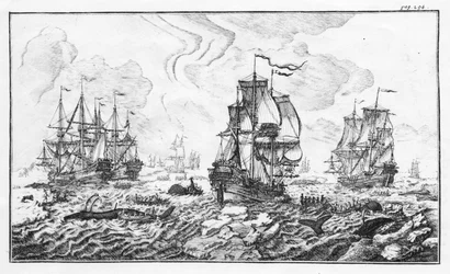 La chasse à la baleine - gravure dans « Classic account of the Arctic whaling industry » par Cornelis Zorgdrager