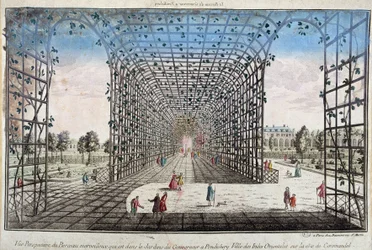 Vue en perspective du berceau merveilleux qui se trouve dans le jardin du Gouverneur à Pondichéry, ville des Indes orientales sur la côte de Coromandel - gravure