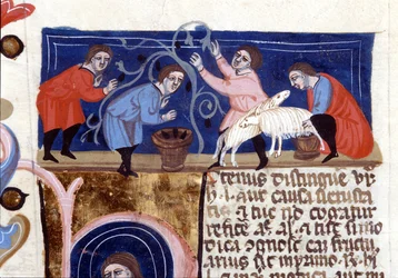 Cueillette des fruits et traite des brebis. Manuscrit du XIVe siècle. Biblioteca Nazionale Braidense, Milan.
