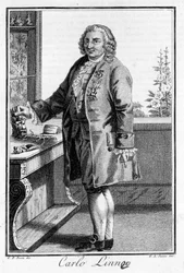 Portrait de Carl Von Linné naturaliste et écrivain suédois (1707 - 1778). Gravure du 19ème siècle