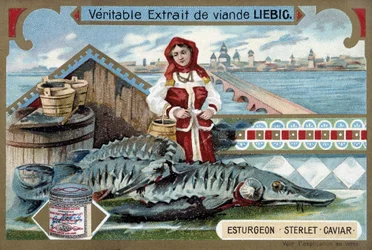 Esturgeon, sterlet, caviar, avec une jeune femme tenant des seaux, devant une ville russe - Chromolithographie Liebig