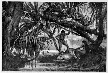 Tapir tué par des Indiens du Brésil - dans « Le tour du monde » 2e semestre 1874