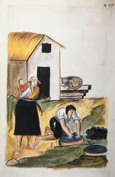 La teinture de la laine, du livre "Trujillo del Peru" ou "Códice Martínez Compañón"