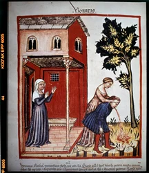 Traité de médecine "Tacuinum sanitatis" du 14ème siècle : vomissement. B.N, Vienne.