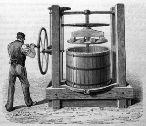 Utilisation de la presse pour obtenir du marc de raisin à Médoc et Cognac. Gravure de la fin du XIXe siècle