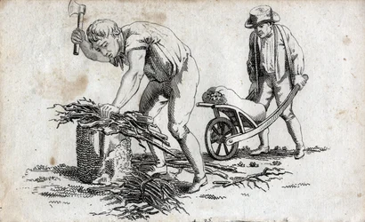 Bûcherons faisant des fagots de bois et homme portant des fagots sur une brouette. Gravure fin XVIIIe siècle. Collection privée.