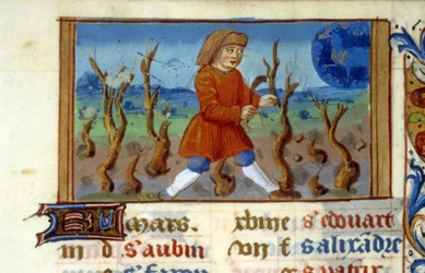 Zodiaque Bélier et taille de l