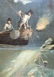 Pêche au poulpe