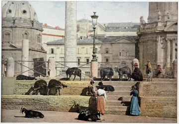 Rome antique : vue du Forum de Rome. Italie, fin du 19ème siècle