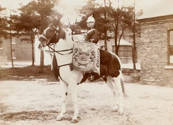 Cheval-tambour, 3e Dragons de la Princesse de Galles, vers 1895