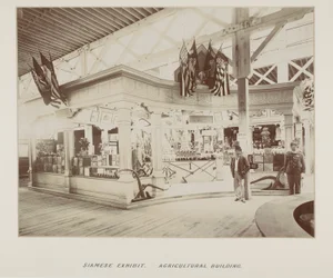 Photographie dans un album photo