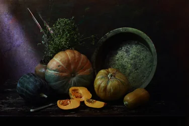 Citrouilles « Rustic Harvest »
