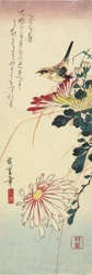 (Chrysanthèmes et une pie-grièche), 1830-1858