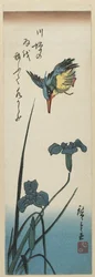 Iris et Martin-pêcheur, 1843-1847