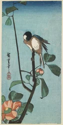 Mésange sur un camélia, 1830-1858