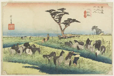 Foire aux chevaux d