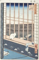 Rizières d