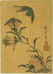 Oiseau et gentiane