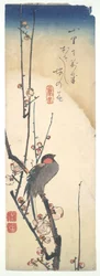 Oiseau sur un prunier en fleurs