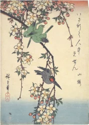 Oiseaux sur une branche de cerisier