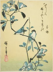 Oiseaux sur une branche de camélia