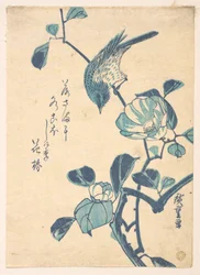Camélia et oiseau