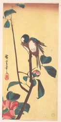Camélia et oiseau à tête bleue