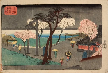 Cerisiers sous la Pluie sur la Digue de la Rivière Sumida
